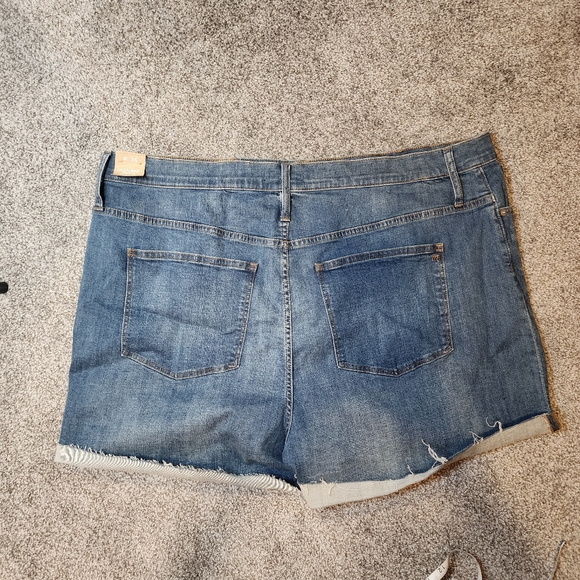 NWT Madewell High-Rise Denim Shorts in Derby Wash Size W 36 or 20W - Picture 6 of 16